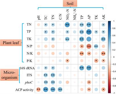 Soil Nutrients Drive Function and Composition of phoC-Harboring Bacterial Community in Acidic Soils of Southern China